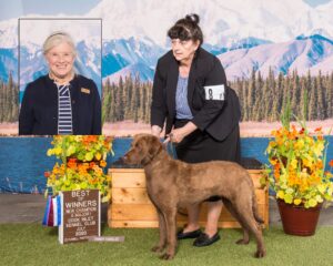 Official Champion Photo