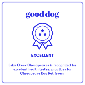 Good Dog Breeder Badge-Eska Creek Chesapeakes