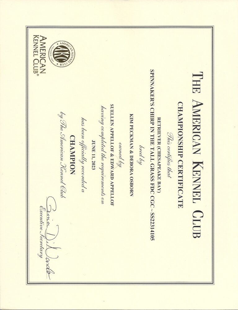 AKC CH Certificate Burdi