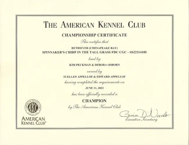 AKC CH Certificate Burdi