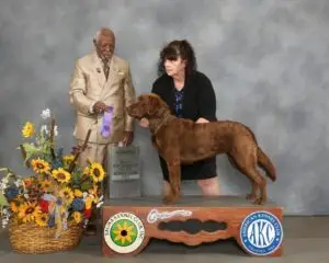 CH Spinnaker's Chirp In The Tall Grass FDC CGC